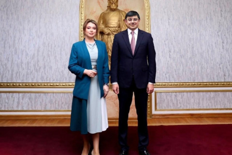 Discussi i piani futuri con i leader delle organizzazioni della diaspora azera