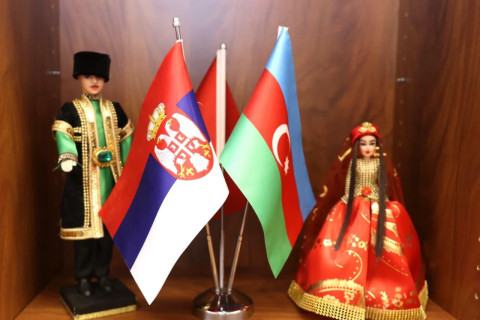 A Belgrado sono state discusse nuove direzioni per le attività della diaspora azera - FOTO