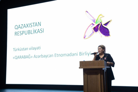 I giovani azerbaigiani di tutto il mondo hanno conosciuto i progetti delle Case dell’Azerbaigian