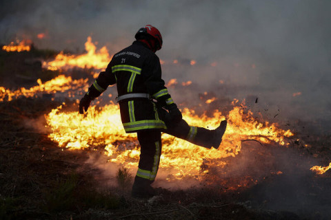 In Francia i danni degli incendi boschivi stimati in 500 milioni di euro